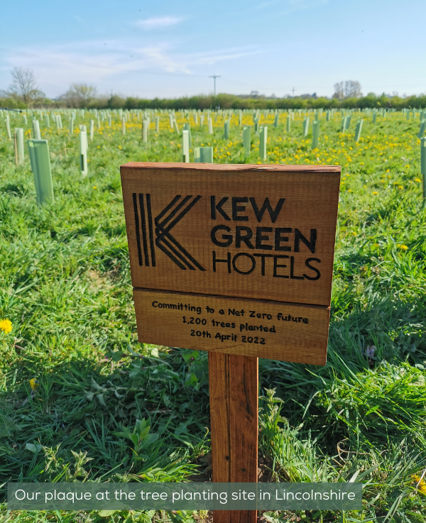 Green+Key+Global+will+offer+sustainability+expertise+from+Choice+Hotels